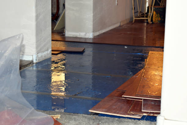 Professional Water Damage Restoration technician working in Zoar, OH